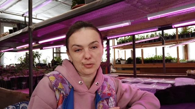 Про то, что я буду высевать в феврале смотреть онлайн