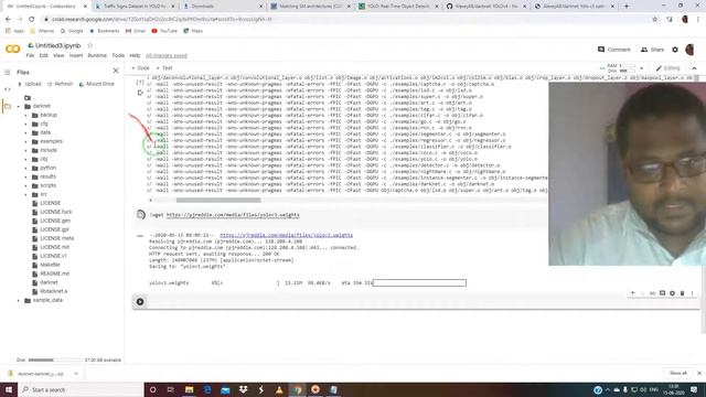 yolo v3 custom object detection downloading the weights and process python script part-2 смотреть онлайн