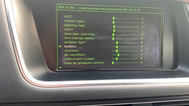 AUDI SECRET GREEN MENU DETAILED DEMONSTRATION WITH ALL VALUES - AUDIQ5