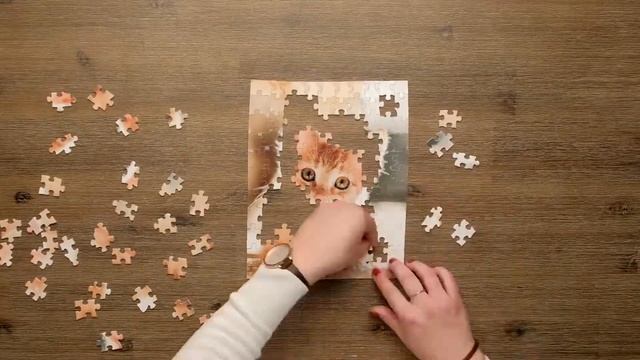 FUJIFILM Photo Puzzles смотреть онлайн
