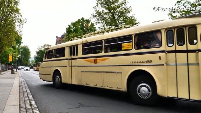 Historische Busse verstärken den regulären ÖPNV in Dresden im Mai 2022 смотреть онлайн