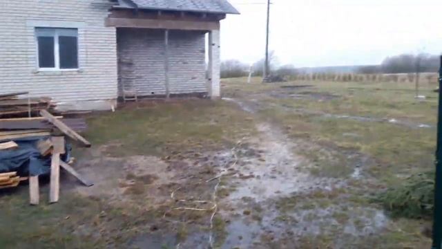 Вырываем молочный зуб. Сажаем сад. Известкуем пруд. смотреть онлайн