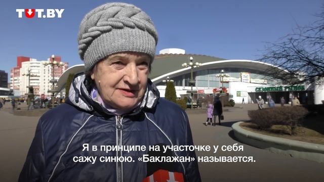 Фиолетовая картошка — узнают ли ее прохожие? (Некоторые приняли ее за камни!) смотреть онлайн