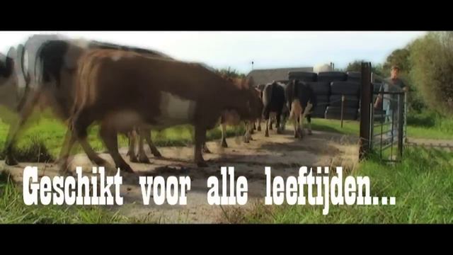 Working Kelpie Joe en Erika - DierZ Bite смотреть онлайн