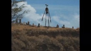 Сирена головой