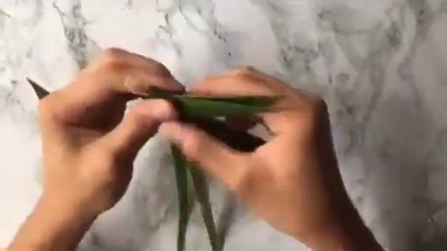 Making grasshopper made of coco leaf (Fritz) смотреть онлайн