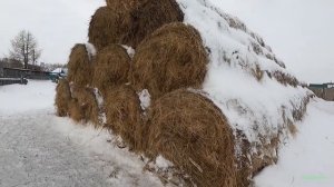 Обзор способа складирования рулонов сена на поддоны при помощи погрузчика ХАРВЕСТ 1000 PLUS.