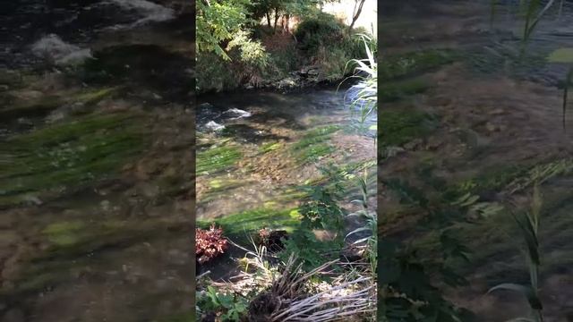 Peaceful Stream in Vercelli, Italy смотреть онлайн