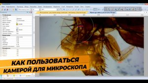 Как настроить камеру для микроскопа  Levenhuk M BASE