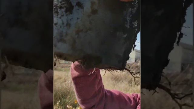 хризантема мультифлора.Как выбрать хороший маточники на зиму смотреть онлайн