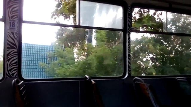 КАКТУСЫ.. ДАЧА.. и ЗАГАДКА :) смотреть онлайн