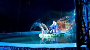 Московский Цирк на воде в Балаково | Ребенок в цирке первый раз | Наталья Бубнова