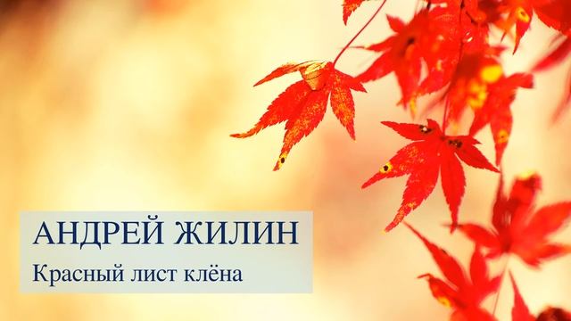 Андрей Жилин - "Красный лист клёна" смотреть онлайн