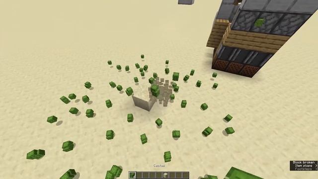 Minecraft Cactus Rocket