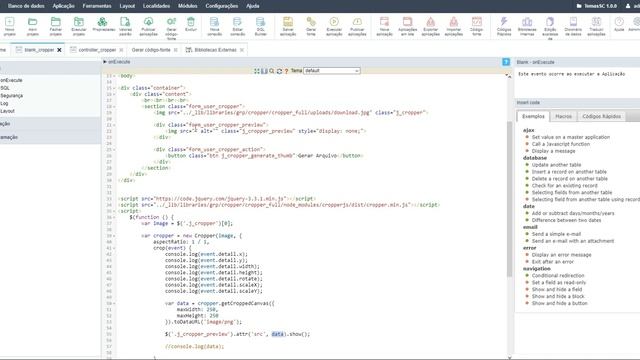 ? CROPPER.JS Redimensionamento e Corte de imagens no Scriptcase смотреть онлайн