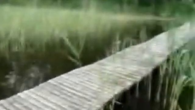 Tours-TV.com: Lake Tauragnas смотреть онлайн