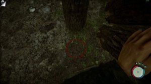 ТЕБЕ ТОЧНО НУЖЕН ЭТОТ БАГ (ДЮП БРЕВЕН) В  SONS OF THE FOREST