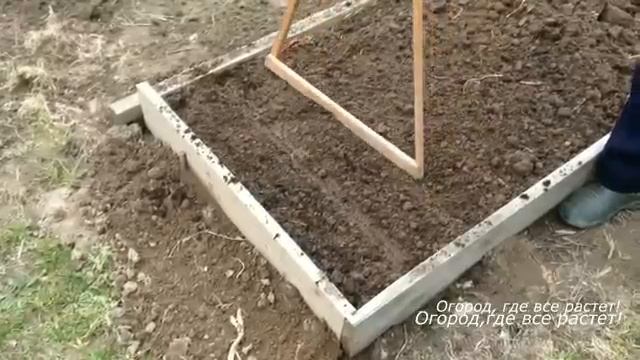 Посадка морковки НЕТ МОРКОВНОЙ МУХЕ.mp4 смотреть онлайн