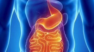 Что будет, если съесть смолу дерева