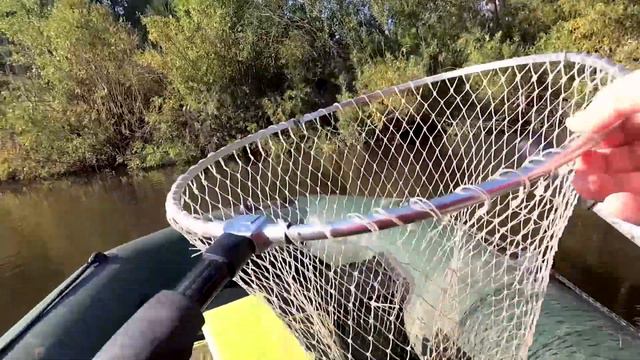 Рыбалка на малой реке. Щука и окунь на спиннинг, ультралайт. Павлодар.#рыбалка #павлодар #окунь смотреть онлайн