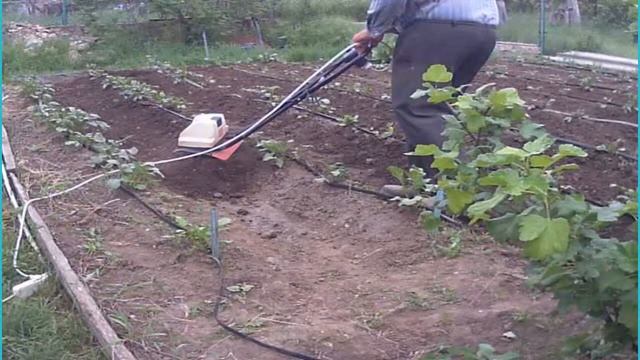 Окучивание картофеля малым электрокультиватором. смотреть онлайн