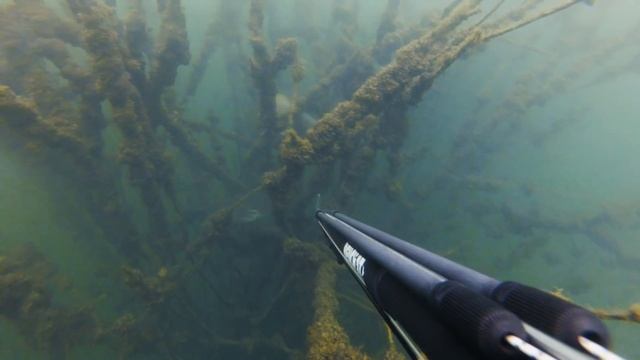 Нет здесь ни егерей, ни лесников #3 Подводная охота. смотреть онлайн