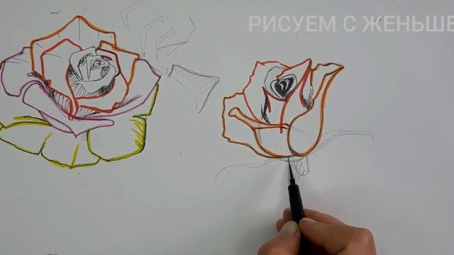 Урок Рисования Розы. Учимся рисовать розу Поэтапная и акварелью для новичков #рисование смотреть онлайн