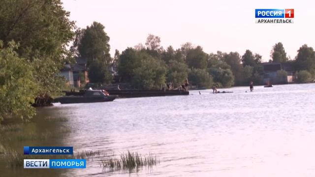 В Архангельске тушу тюленя увезли на утилизацию смотреть онлайн