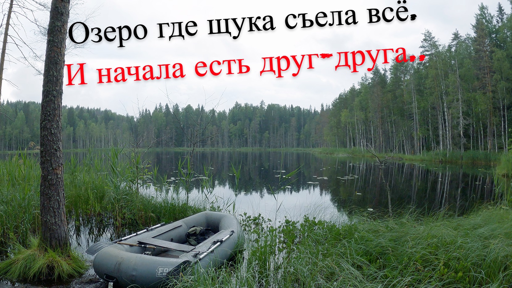 Рыбалка на Щуку.Глухое Лесное Озеро UHD