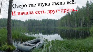 Рыбалка на Щуку.Глухое Лесное Озеро UHD