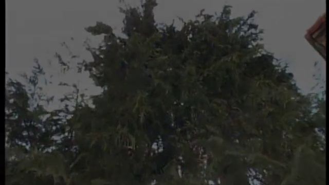 Дончо Андонов - Ела се вие превива и Пушка пукна смотреть онлайн