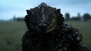 Ракка Нила Бломкампа - тупой боевик или социальная фантастика?