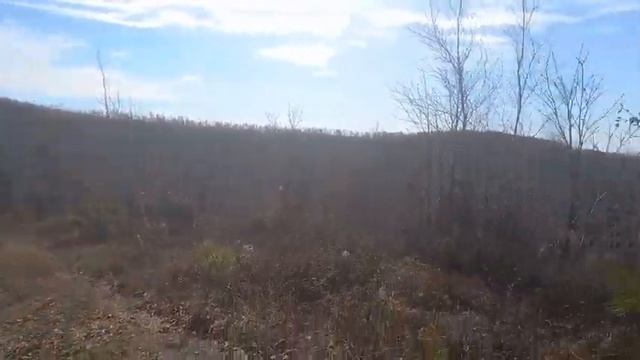 Поход на в/ч Амурск. смотреть онлайн