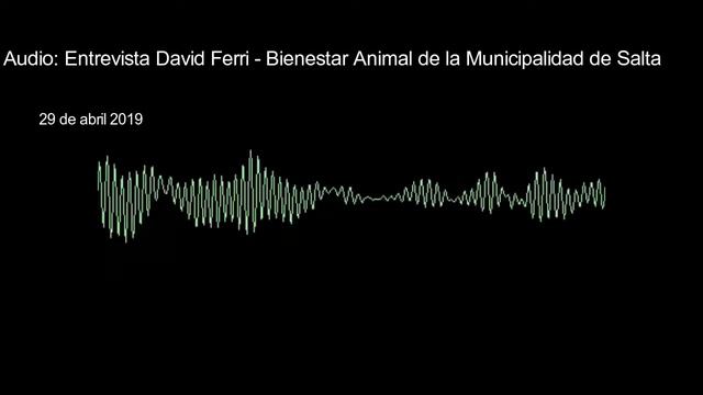 david ferri смотреть онлайн