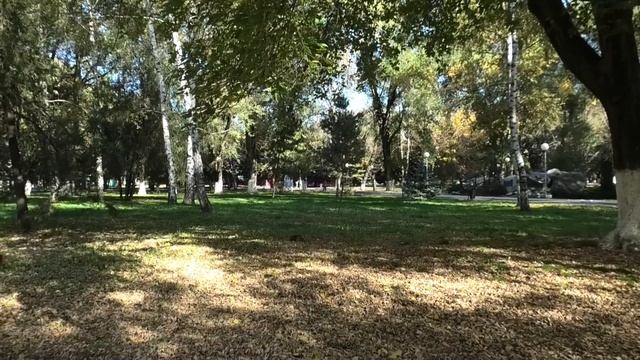 Осень в изобильном,26 октября 2019 года. смотреть онлайн