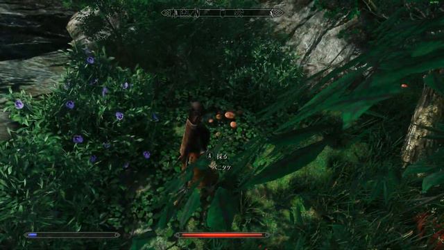 Enderal Forgotten Stories (SE) 　　Anneshemの冒険日誌その２ смотреть онлайн