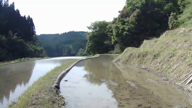 [Япония] Органическая дача ниндзя 2020/05/29, замедленная съемка 100x смотреть онлайн