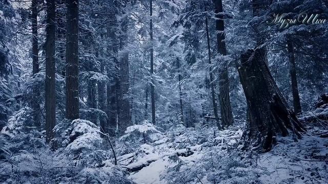 ♫ СНЕЖНЫЙ HAPPY - END !!! ЗИМНИЙ #РЕЛАКС !!!.mp4 смотреть онлайн