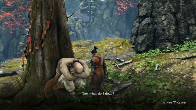 Sekiro Shadows Die Twice | 10% discount in all Merchant Shops (Anayama the Peddler QUESTLINE) смотреть онлайн