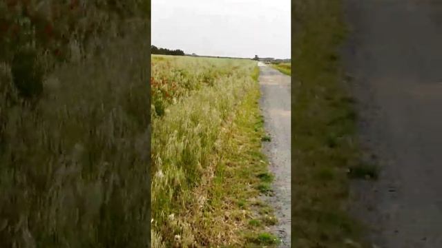 Marina di Castagneto Carducci смотреть онлайн