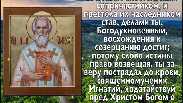 ВСЕГО 30 СЕКУНД! ПРОСИТЕ ЗДОРОВЬЯ, ИСЦЕЛЕНИЯ СЕЙЧАС! 11 февраля - Священномученик Игнатий Богоносец смотреть онлайн