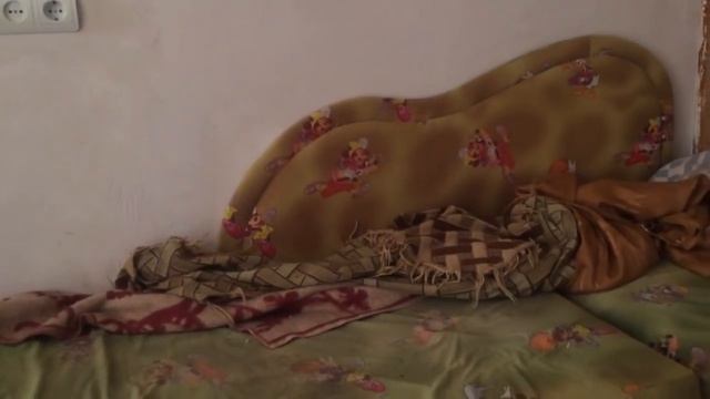 Ягдтерьеры против волка смотреть онлайн