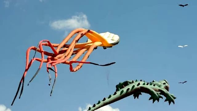 Гигантские воздушные змеи 3