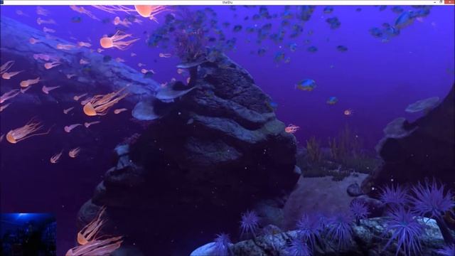 My first look...theBlu...VR 愛 смотреть онлайн