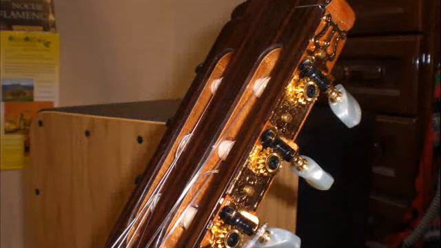 Guitarra Flamenca Modelo Perez 660 Flamenco Guitar