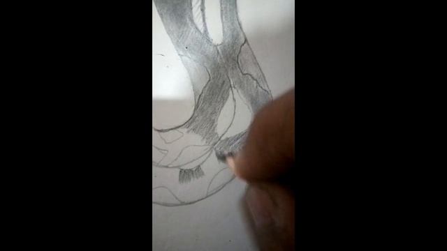 Python snake sketch | #drawing #sketch смотреть онлайн