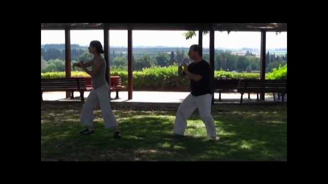 "5 Elements" Tai chi Chuan school "חמישה יסודות" смотреть онлайн
