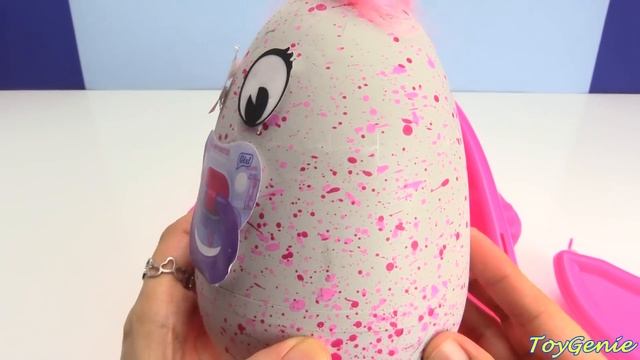 Baby Hatchimal Opening Plays At Park Sister Draggle or Penguala? смотреть онлайн