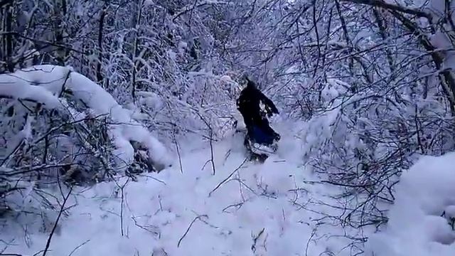 Охота на снегоходе ДИНГО смотреть онлайн
