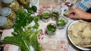 ЗАСОЛКА ГРИБОВ НА ЗИМУ! ГРУЗДИ И СКРИПИЦЫ. ГОРЯЧИЙ СПОСОБ ( В РАССОЛЕ ).СКРИПИЦА ГРИБ ПРИГОТОВЛЕНИЕ